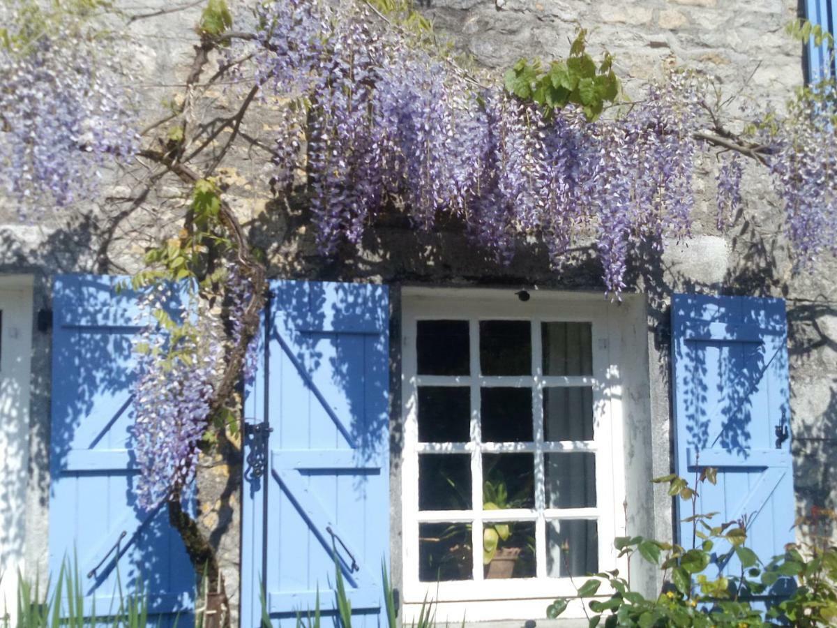 Chat Noir Gite Et Chambre D'Hotes Genouille  Екстер'єр фото