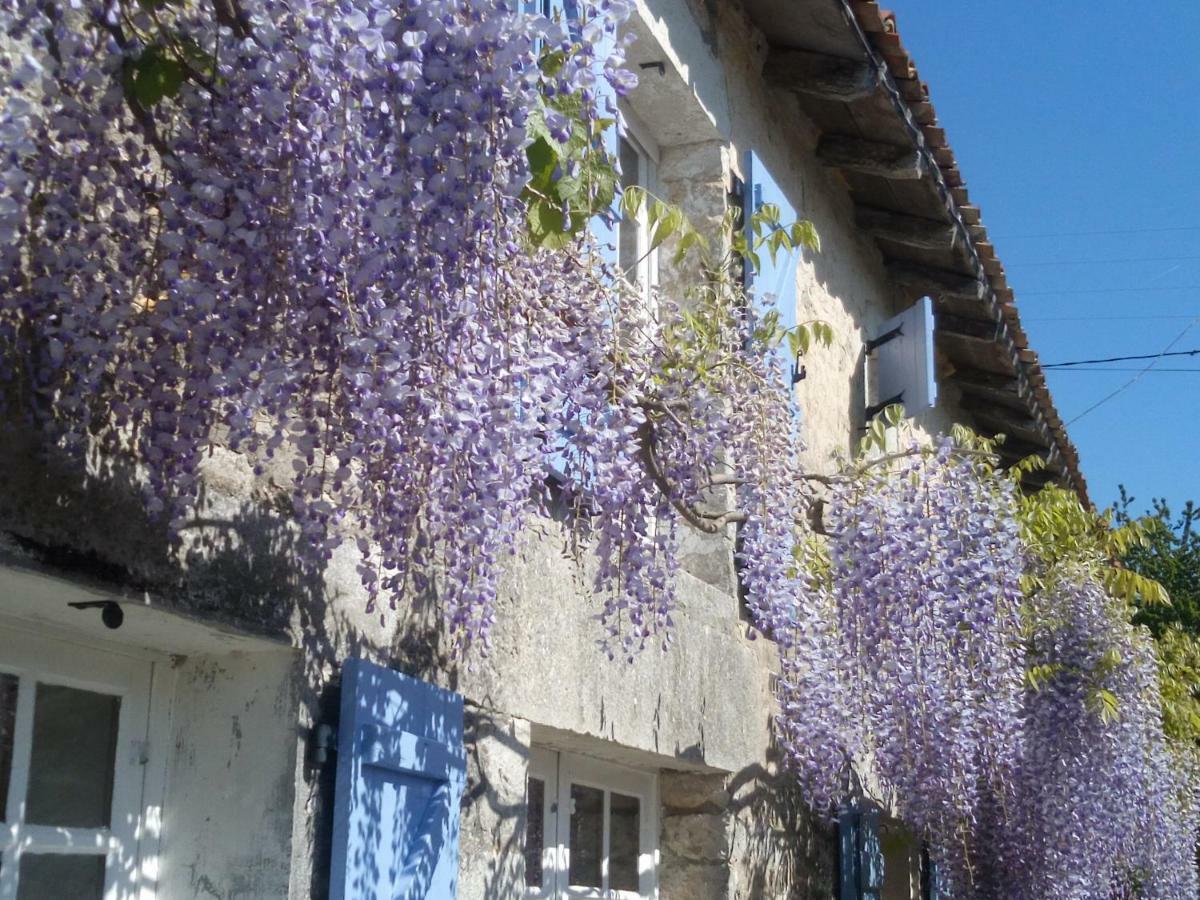 Chat Noir Gite Et Chambre D'Hotes Genouille  Екстер'єр фото